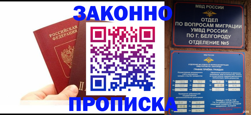 временная регистрация для школы в Шилке